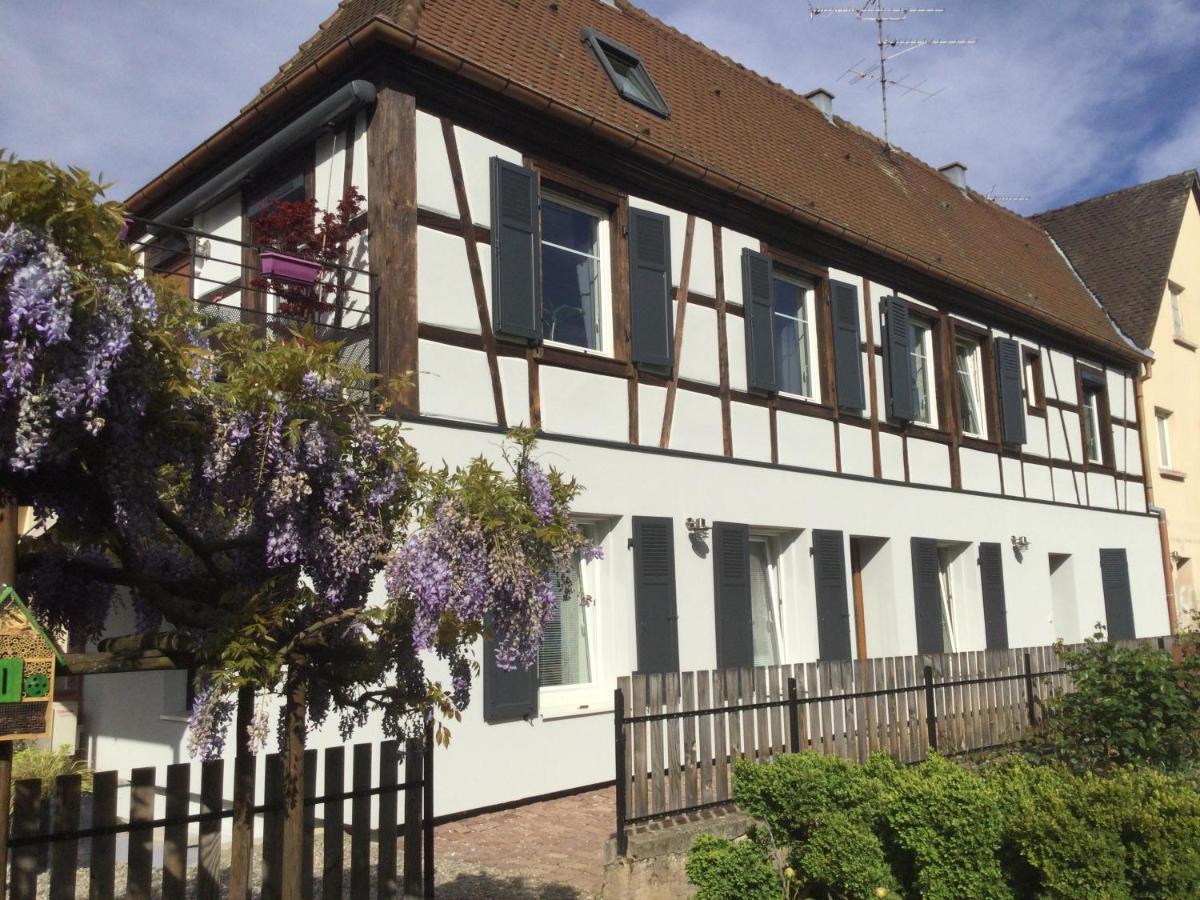 Gite Cote Jardin Ingersheim Exterior foto